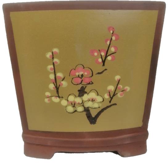 MACETA BONSAI DECORATIVA 26x21x26 CM 11 LB