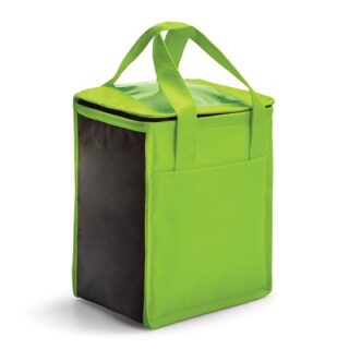 LONCHERA TERMICA VERDE DE 23 X 20 CM