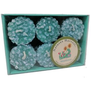 SET DE CANDELAS 6 PC NATURES HARVEST