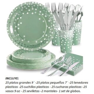 PARTY BOX DESECHABLES PARA 25 PERSONAS