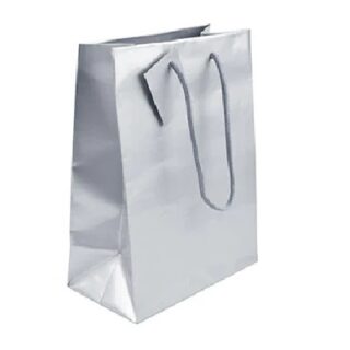 BOLSA DE REGALO PLATEADA 25 X 15 CM