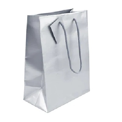 BOLSA DE REGALO PLATEADA 25 X 15 CM