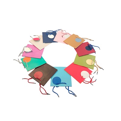 BOLSA DE REGALO VARIOS DISEÑOS 32 X 26 CM