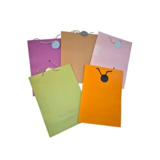 BOLSA DE REGALO VARIOS DISEÑOS 70 X 50 CM