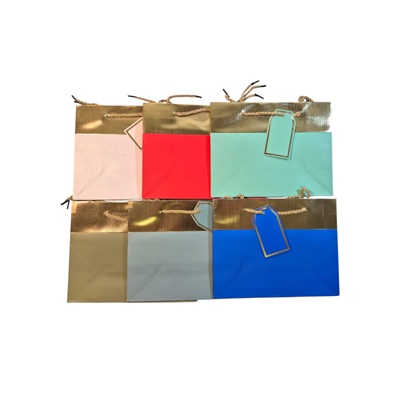 BOLSA DE REGALO VARIOS DISEÑOS 23 X 18 CM