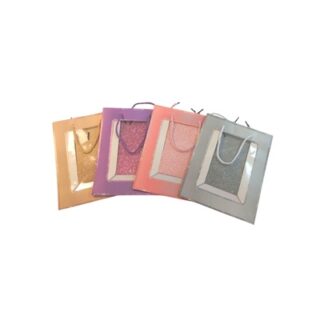 BOLSA DE REGALO VARIOS DISEÑOS 23 X 18 CM