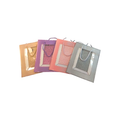 BOLSA DE REGALO VARIOS DISEÑOS 23 X 18 CM