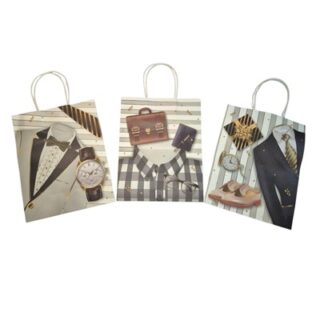 BOLSA DE REGALO VARIOS DISEÑOS 33 X 25 CM