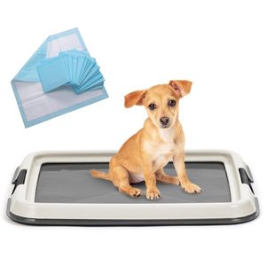 Baño para perro plano