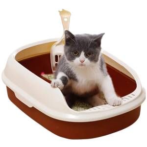 Baño pequeño con espatula