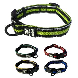 Collar pequeño con orilla de 2.0