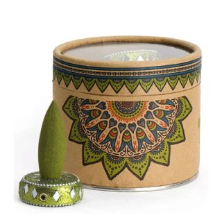 CONOS DE INCIENSO 20 PC CON QUEMADOR AROMA A HIERBA DE LIMON