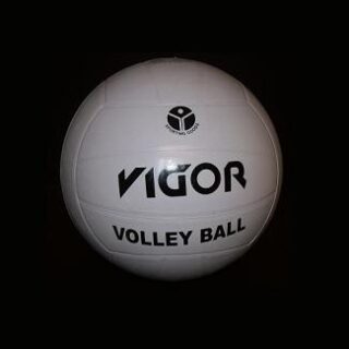 PELOTA DE VOLLEYBALL VIGOR BLANCA