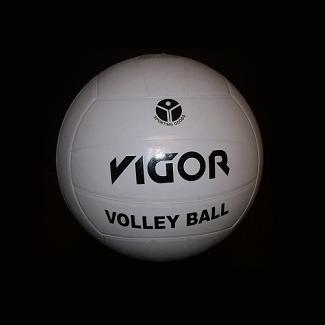 PELOTA DE VOLLEYBALL VIGOR BLANCA