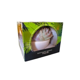 LAMPARA DE SUCULENTA LED 7 PULGADAS