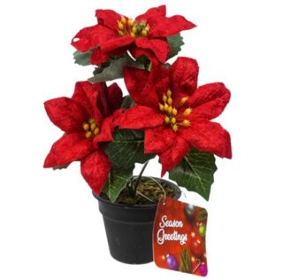 PLANTA DE PASCUA DECORATIVA 19 CM