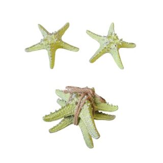 ESTRELLAS DE MAR 2PC