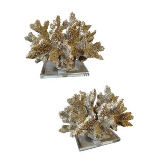 CORA W-BASE DE VIDRIO