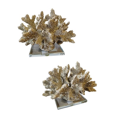 CORA W-BASE DE VIDRIO