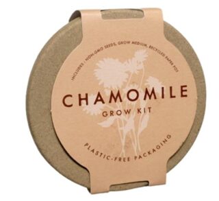 MACETA MANZANILLA CHAMOMILE