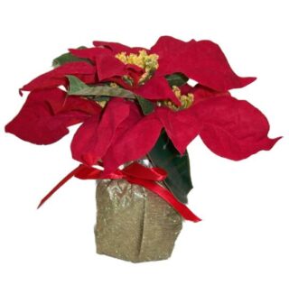 PASCUA 22 CM DECORATIVO