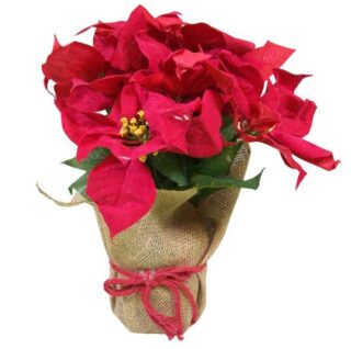 FLOR DE PASCUA DECORATIVA 40 CM ELEGANCE