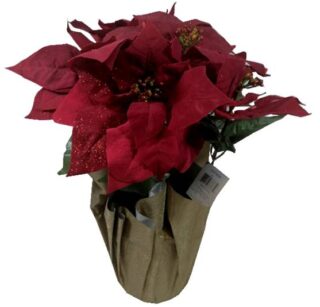 FLOR DE PASCUA DECORATIVA 52 CM