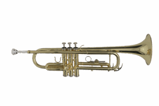 Trompeta Liverpool Tp8001G Guatemala