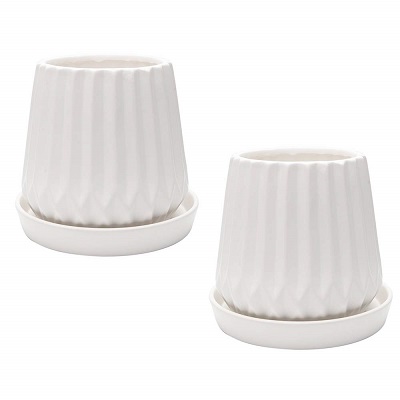 JUEGO DE MACETAS SUCULENTAS - 2 SET -