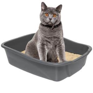 Arenero para gato gris